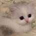 ♡ (@rribbonbbaby) Twitter profile photo ♡ (@rribbonbbaby) Twitter profile photo