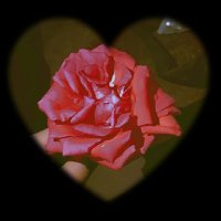 rajnish Kumar (@rajnishkum543) 's Twitter Profile