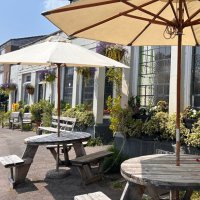 The Wych Elm (@thewychelm) 's Twitter Profile