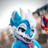 Ama The Dragon 🔜 NFC (@theddamaroq) 's Twitter Profile Photo Ama The Dragon 🔜 NFC (@theddamaroq) 's Twitter Profile Photo