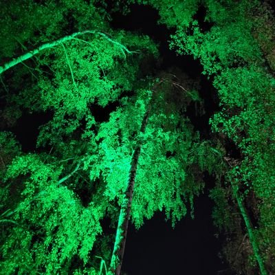AlinaSalina1608's profile picture.
