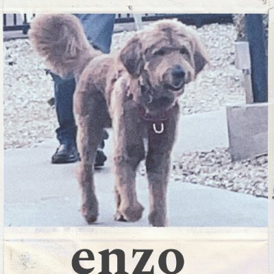 darkjester13's profile picture. Poet,writer,and dreamer