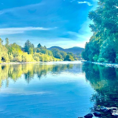 Oregonian | UO Alum | Real Estate & STR | Snow Skier, Rafter, Sci-Fi Buff | Helping Others Achieve Goals | Small Business Owner