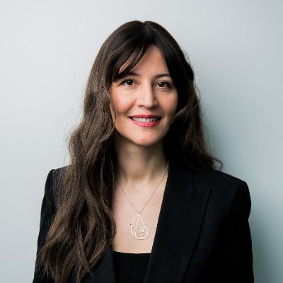 societal impacts of AI | Asst prof @CarnegieMellon | system engineering + AI + philosophy | all views my own