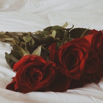 shoshaya_0's profile picture. B.S.C.N    Work at hospital In ICU