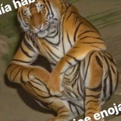 VictorVittone's profile picture. Chipaguazu y Club Libertad así nomaaa