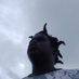 Kareemfrmdmil (@kareem86850) Twitter profile photo Kareemfrmdmil (@kareem86850) Twitter profile photo