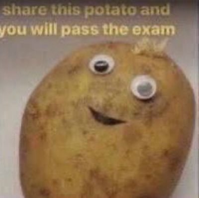thisislitly's profile picture. 
