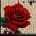 holgogo (@holgogo) Twitter profile photo holgogo (@holgogo) Twitter profile photo