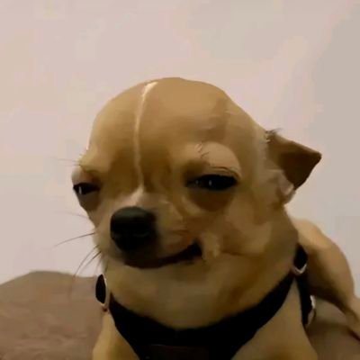 _av_av_'s profile picture. 