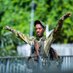 Fils du Kivu (@mumisoziyaho) Twitter profile photo Fils du Kivu (@mumisoziyaho) Twitter profile photo