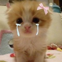 Hey.. (@aixshishou) 's Twitter Profile Photo