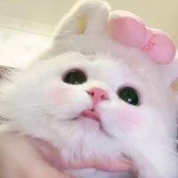 YINA🫧พิมพ์ประภา (@yenanyi33) 's Twitter Profile Photo YINA🫧พิมพ์ประภา (@yenanyi33) 's Twitter Profile Photo