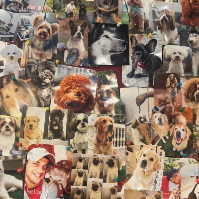 adityagowda100's profile picture. 