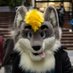 Lee Folf ๐ CFz #126 (@welsh_folf99) Twitter profile photo Lee Folf ๐ CFz #126 (@welsh_folf99) Twitter profile photo