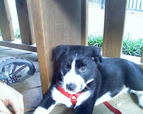 islorzas's profile picture. Mechanical Engineer with interest in Politics and Economics. From Madrid, Spain. Living in Houston, TX. FOLLOWER OF JESUS CHRIST. LIBERTARIAN.
Long live 🇷🇺