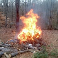 Firebrand (@54shoe19) Twitter profile photo
