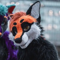 Ferrrrrrdy 🔜 FWA (@ferdywagon) 's Twitter Profile Photo Ferrrrrrdy 🔜 FWA (@ferdywagon) 's Twitter Profile Photo