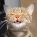 only me (@onlyme_xu) Twitter profile photo only me (@onlyme_xu) Twitter profile photo