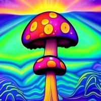 Organic Mushroom wrld (@damaingong2) 's Twitter Profile