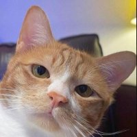 RM (@rmoramon73) 's Twitter Profile Photo RM (@rmoramon73) 's Twitter Profile Photo
