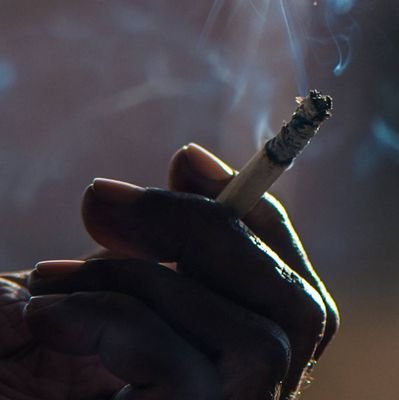 playboyservics's profile picture. Hi playboy service available for female . Inbox me