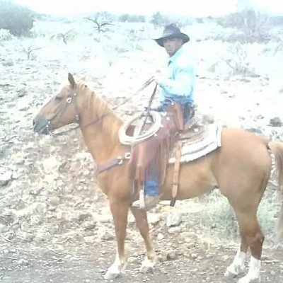 TRice81922's profile picture. 