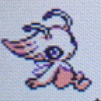 ふー (@fuu0430) 's Twitter Profile