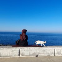 Nuran (@_nuran__) 's Twitter Profile