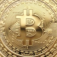 Crypto Megalodon (@nft_collector74) 's Twitter Profile