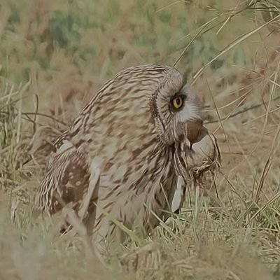 DavidToddDover's profile picture. Am me.