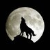 Kiyote Black (@kiyoteblacknow) Twitter profile photo Kiyote Black (@kiyoteblacknow) Twitter profile photo