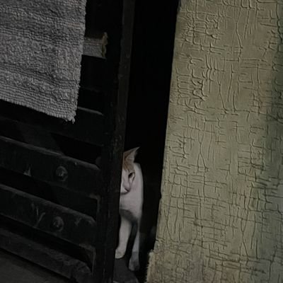 eez ๐ Profile