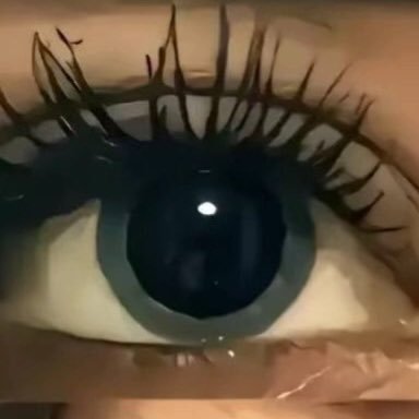 EllieMillerR3N's profile picture. 