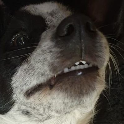 zoeej02's profile picture. 