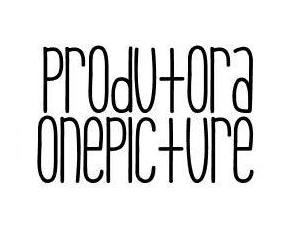 A OnePicture foi fundada em 1999 na cidade de Santa Rosa pelo publicitário Marcelo Carvalho. Desde 2007 com sua sede em Porto Alegre.