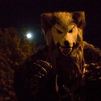 Papa Woof und Krampus und Bleaken (@woofknight) 's Twitter Profile Photo Papa Woof und Krampus und Bleaken (@woofknight) 's Twitter Profile Photo