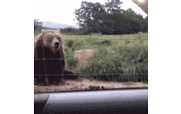 C. - @ClayConrad - Twitter