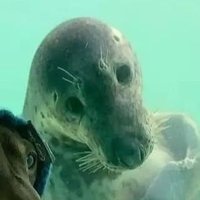 FREE | PatataSalvaje (@patatasalvaje3) 's Twitter Profile