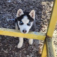 Ryan_ Ruiz (@ryanruizlml) 's Twitter Profile
