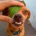 Ricardo Romero (@ricardo36251761) Twitter profile photo Ricardo Romero (@ricardo36251761) Twitter profile photo
