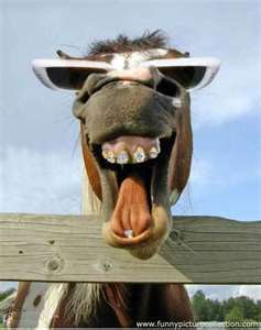 Dauber66's profile picture. Husband, Dad, wine geek, salesguy, golf bum