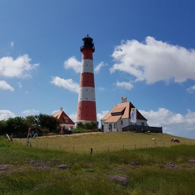 KrabbenFranz's profile picture. Sage nicht alles, was du weißt, aber wisse immer, was du sagest.

Matthias Claudius (1740 - 1815)

Lieblingsfarbe Blau 💙