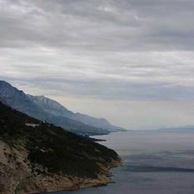 FlingMekhi78513's profile picture. 