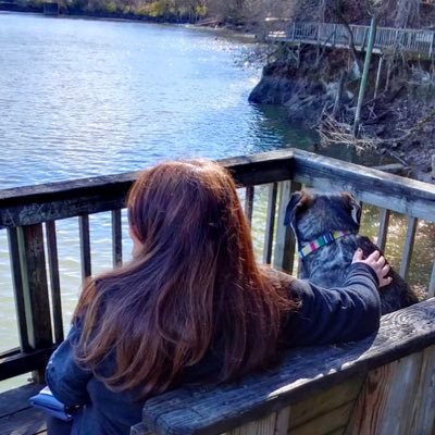 🇺🇸 آوا هستم، مامان ایوت و پدی 🐶🐶 ورود عرزشی، سلطنتطلب، ترامپیست، نتانیاهومال ممنوع، حتی شما دوست عزیز!