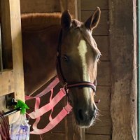 Cindy Minkiewicz (@cindyminkiewicz) 's Twitter Profile