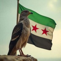 المزمجر الدمشقي (@mozam5686252364) Twitter profile photo