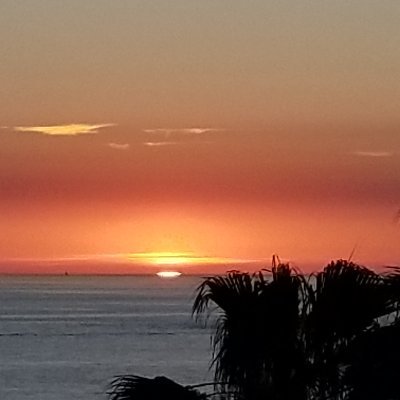 mdhaase200's profile picture. 