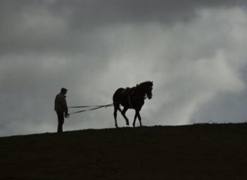 jamesgburns's profile picture. 