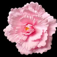 مي (@_52my) 's Twitter Profile